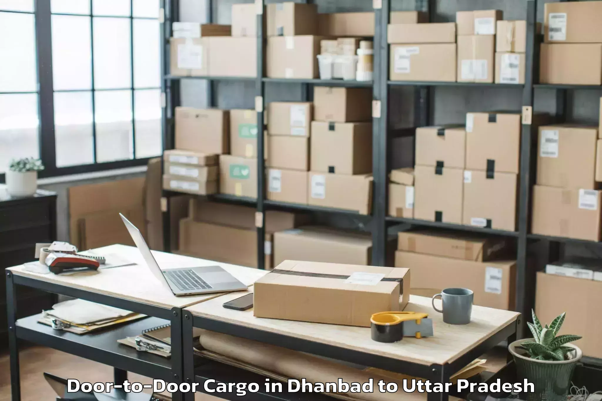 Top Dhanbad to University Of Allahabad Allaha Door To Door Cargo Available